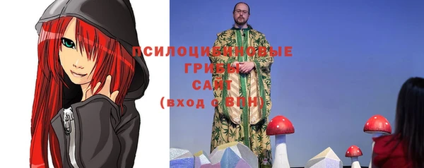 СК Медногорск